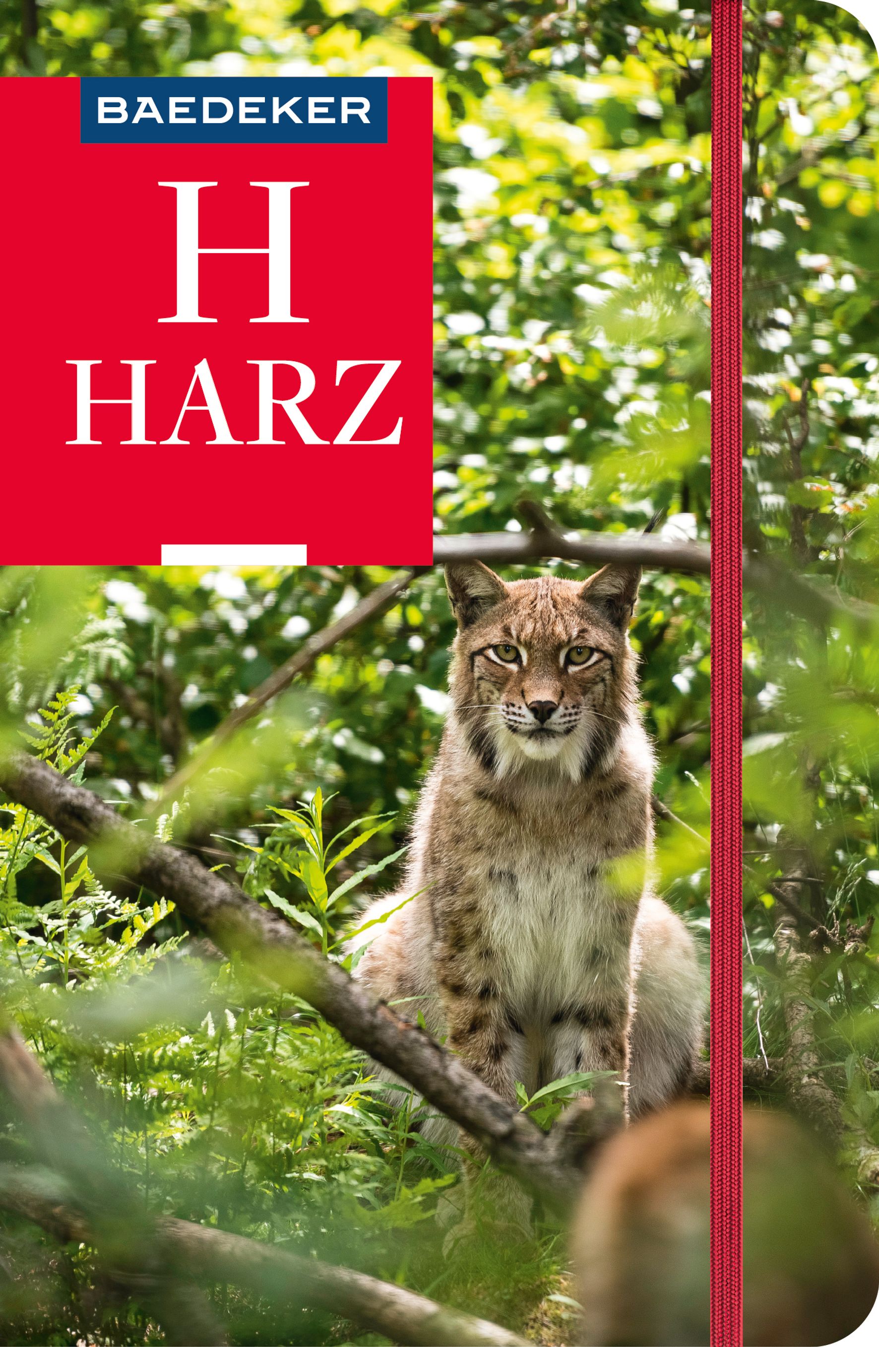 Baedeker Harz (eBook)