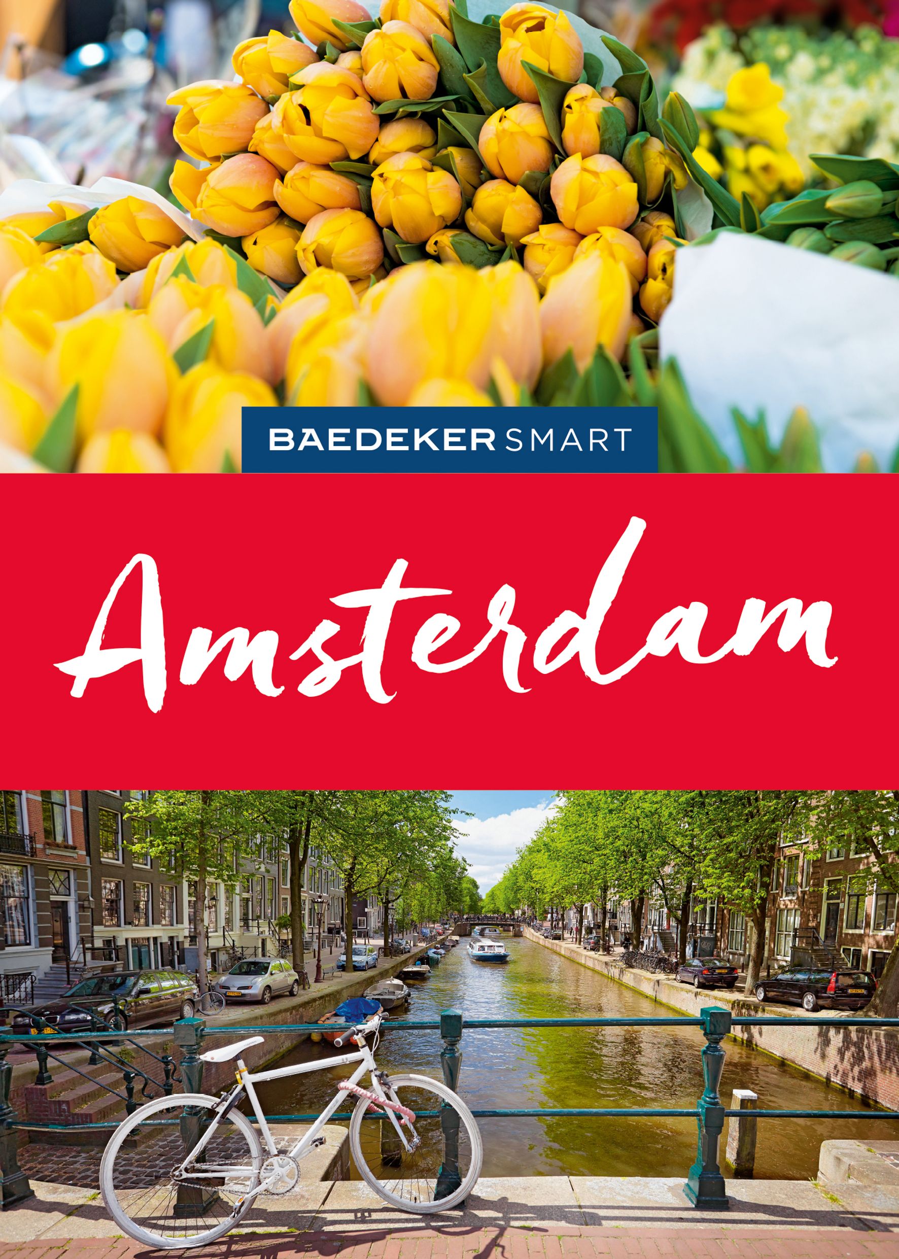 Baedeker Amsterdam (eBook)