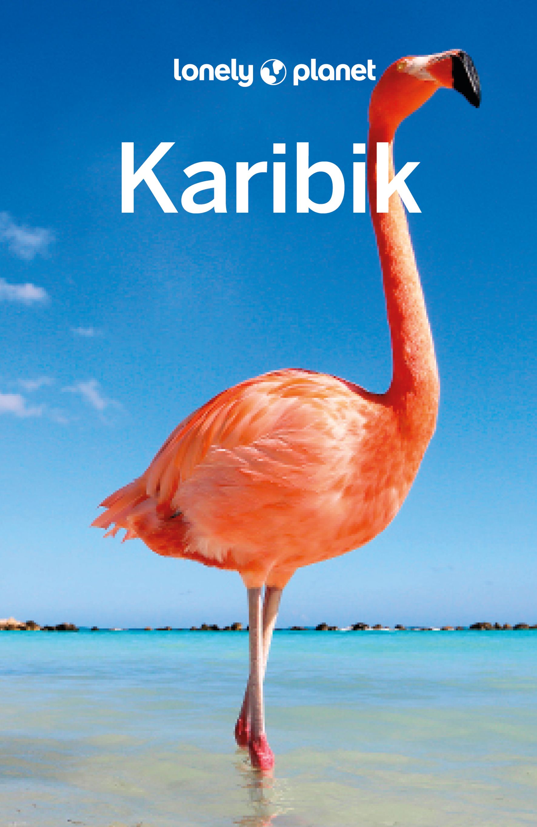 Lonely Planet Karibik